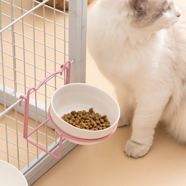 Keramikskål til katte, rosa. Gul