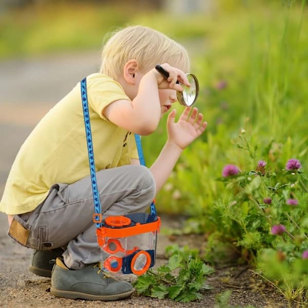 Insect Viewer Insect Box Magnifying Glass Insect Viewer Kit