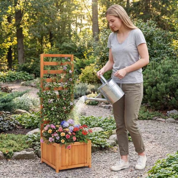 Forhøyet plantekasse med espalier, gran