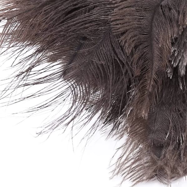 Ostrich Feather Duster, Beech Wood Handle, 38 cm