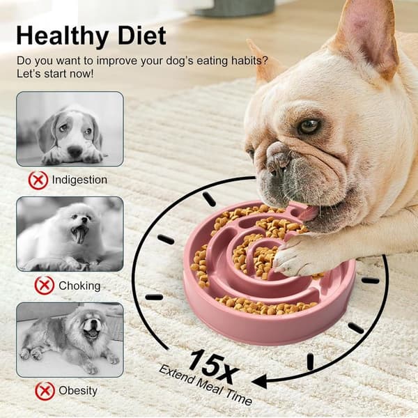 Slow Feeder Bowl for Medium Dogs and Cats