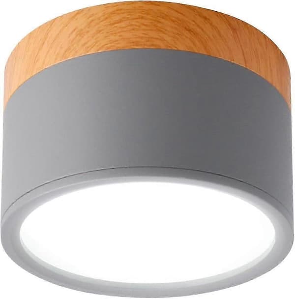 Ceiling Mounted Ceiling Spotlight Round LED Brushed Grey Cool White Aluminum Ceiling Lamp 12W 110mm
