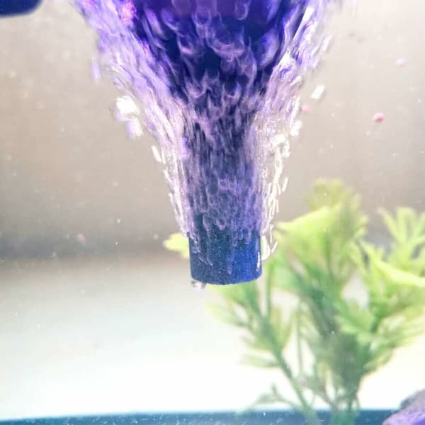 Akvarieluftsten, 6 st Akvarium Fisktank Cylinder Bubbel Diffuser för akvarieluftpump