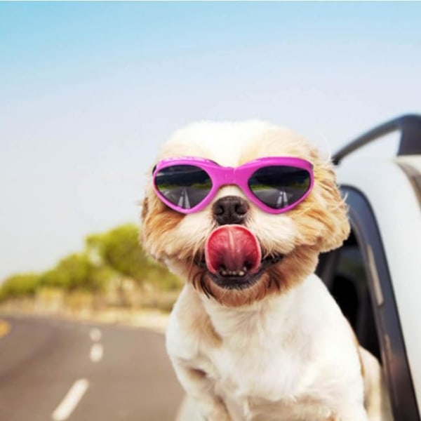 Hundglasögon, husdjurssolglasögon, hopfällbara hundsolglasögon UV