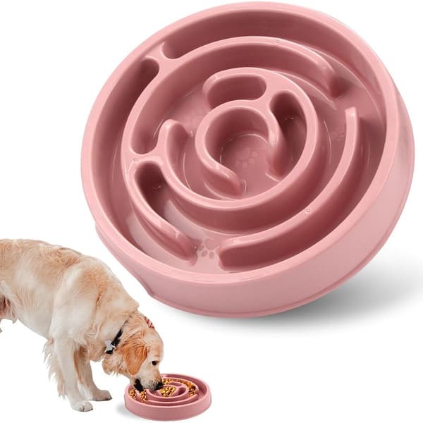 Slow Feeder Bowl for Medium Dogs and Cats
