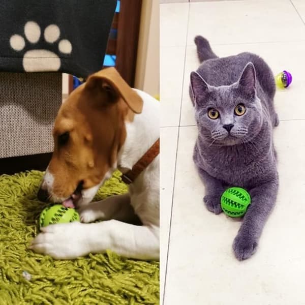 Trækkelegetøj - Giftfrit - Gummi - Gul - 5 cm - Til små hunde