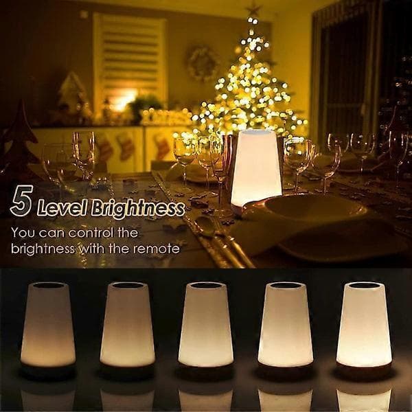 Night light, USB rechargeable lamp, 13 light colors, adjustable brightness