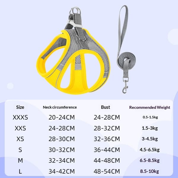 Small Dog Harness and Leash Set, Step-in Breathable Pet Harness