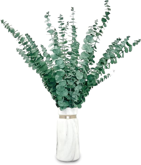 Kunstige silkeblomster, Eukalyptus, 38 cm, Perfekt til blomsterarrangementer, indretning og bryllupper
