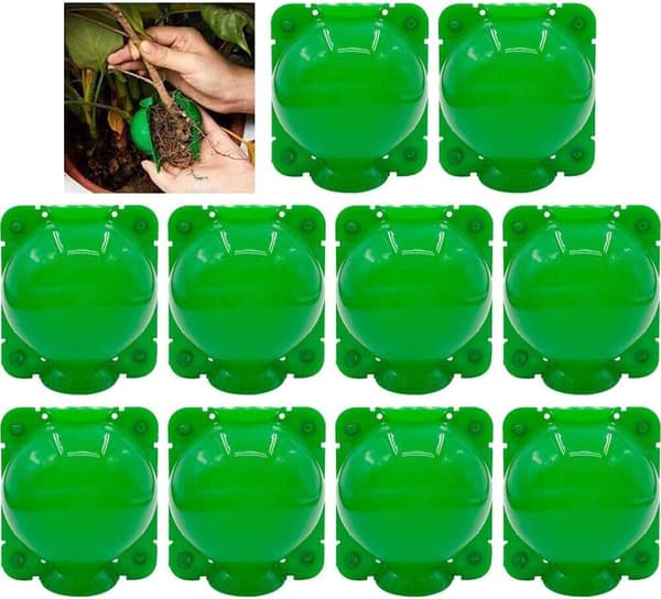 10 st Plant Rooting Device Ball Plant Grafting Cutting Rooting De
