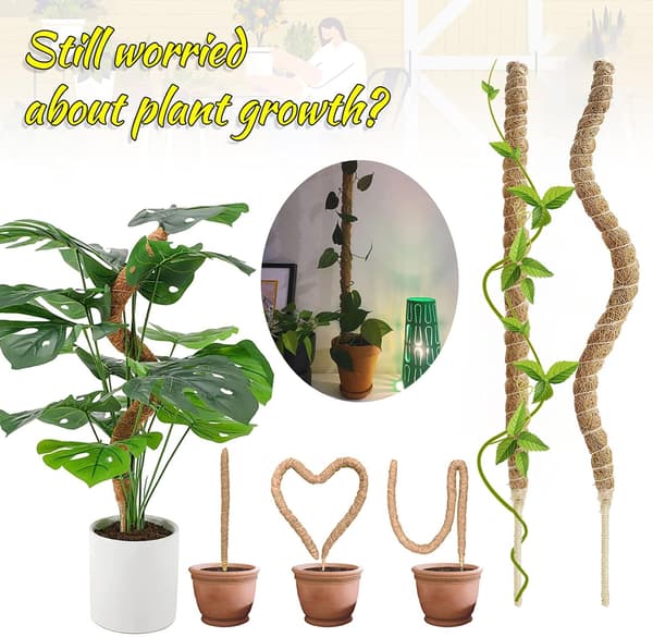 4-pack Trädgårdspinnar för Monstera deliciosa, Växtstöd, Böjbara Formbara Mossapinnar, Pothos och Klätterväxter