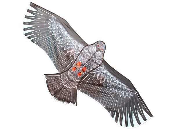 Drageflyger for barn - Flygende drage - 200 cm