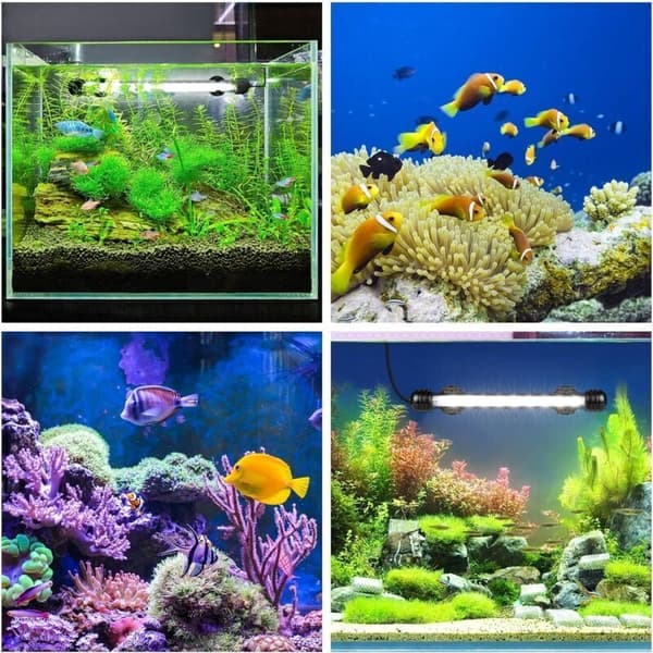 Submersible LED Aquarium Light with Automatic On/Off Timer, Blue and White Color Change, for 20-40 cm Tanks, Energy Class E