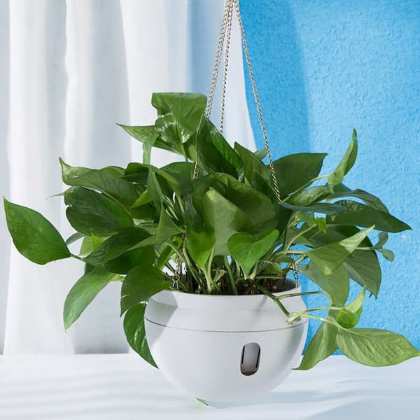 2 Pcs Plastic Hanging Pots with Self-Watering and Hooks, Hanging Flower Pot with Removable Base White