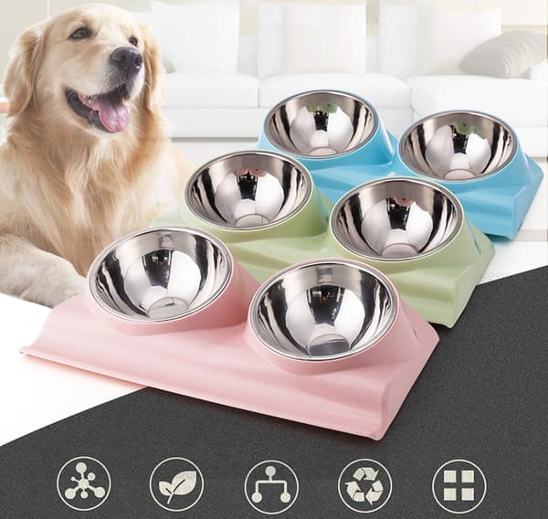 Green Double Dog Bowl with Raised Stand, 15 Degree Tilted Non-Slip