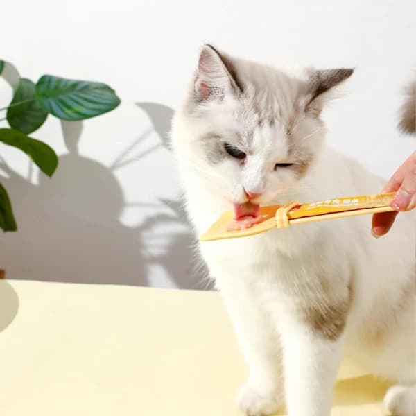 Ske til katte - Klemme ske til kattefoder - Foderske til kattegodbidder - Foderske til vådfoder - Slikkeske til flydende kattefoder - 3-pak