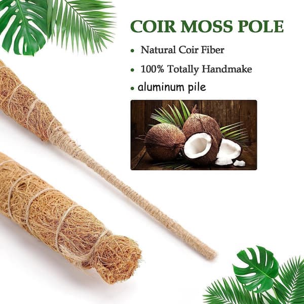 Plant support / support stick, Bendable Moss Pole 70-100cm - Climbing Support 1/2-Pack, for indoor plants, ivy and monstera 80cm-2 pcs 80cm-2 pcs 80cm-2 st