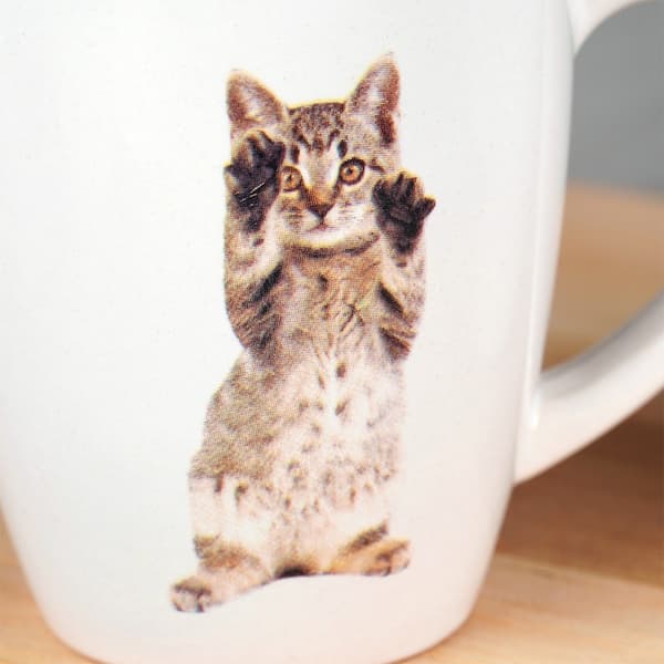 Keramiske krus katte 220 ml 3 stk.