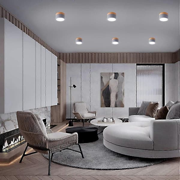 Ceiling Mounted Ceiling Spotlight Round LED Brushed Grey Cool White Aluminum Ceiling Lamp 12W 110mm