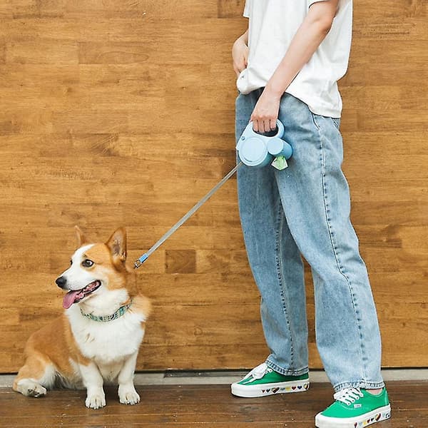 Retractable Dog Leash with One Button Lock for Small Dogs