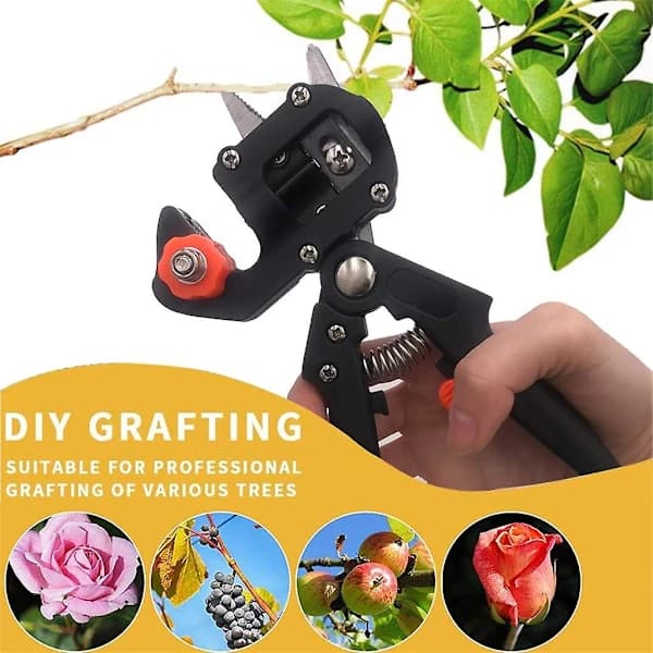 Grafting Shears Garden Tool Professional Branch Shears Pruning Shears Plant Shears Boxes Fruit Tree Grafting Shears