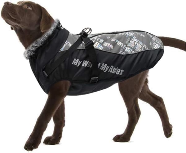 Dog Winter Jacket, Waterproof, Warm, Reflective, Soft Plush, Adjustable, for Small, Medium, and Large Dogs (2XL, Silver)