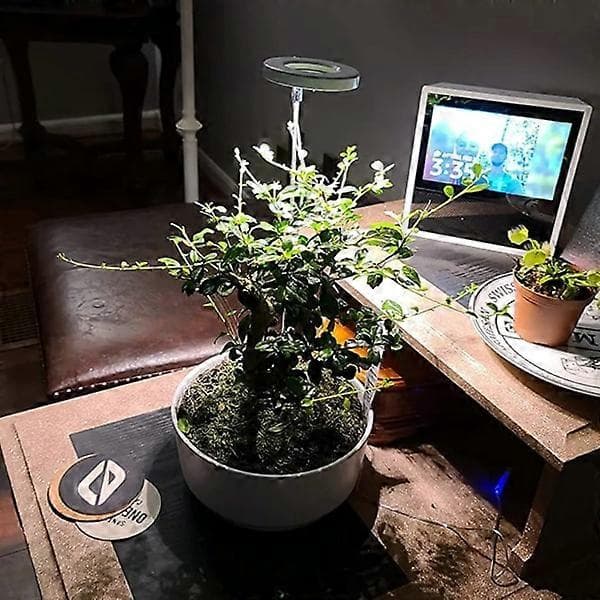 LED full spectrum grow light 3 light modes grow light with timer for indoor plants, vegetables, flowers