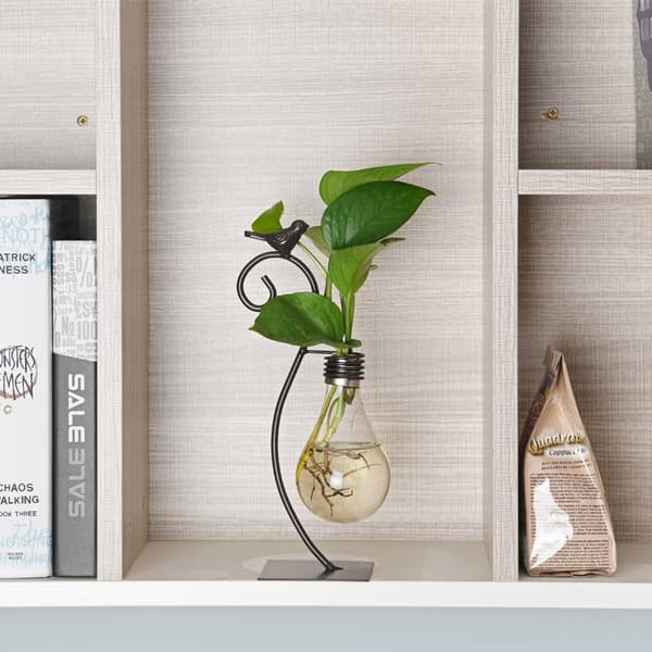 Glas skrivebordsdekoration, hydroponisk vase, katteholder til planteterrarium, Scindapsus-beholder