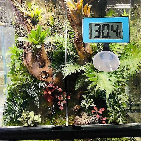 Digital akvarietermometer, sötvatten- och saltvattentermometer, akvarietermometer