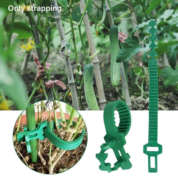 Tree Support Straps, Adjustable Plant Ties, Excellent for Tying, Bracing, and Supporting Trees and Plants. 4-Pack