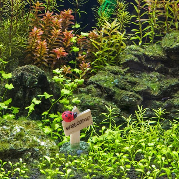 Miniatyrhage Statue Planter Dekorasjon For Mosedekorasjon