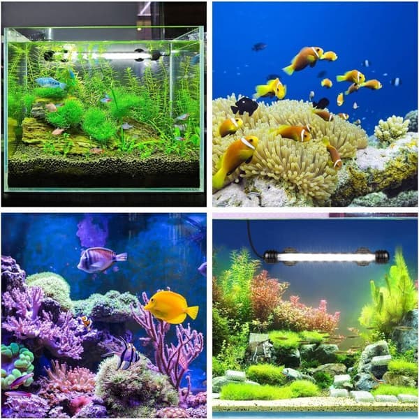 Submersible LED Aquarium Light with Automatic On/Off Timer, Blue and White Color Change, for 20-40 cm Tanks, Energy Class E