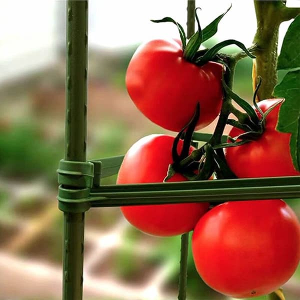 (Grön) 30-pack Stödpinnar för tomatburar, växtstöd, trädgård
