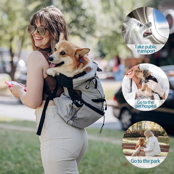 Dog Backpack, Adjustable Portable Dog Carrier Backpack, Ventilated Pet Backpack, Pet Backpack for Outdoor Climbing Walking (S, Blue)
