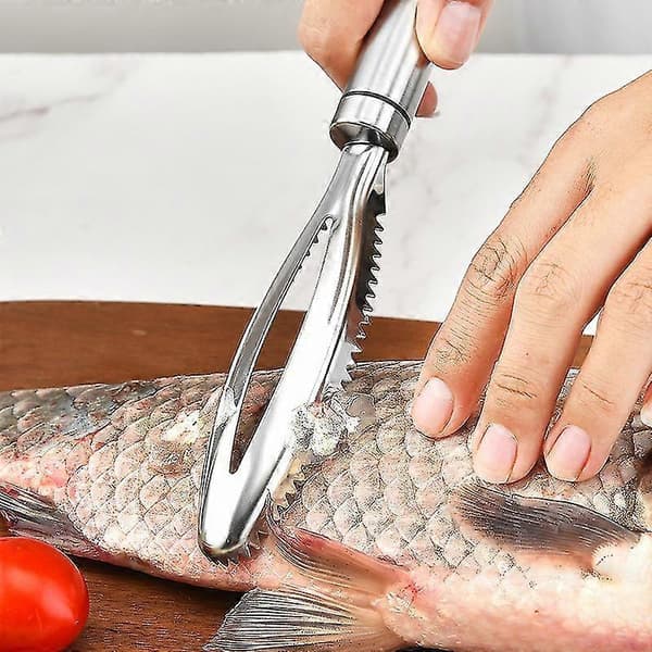 Fish Scaler Brush Fish Scraper Remover With Stainless Steel Serrated (1pc, Silver) yu