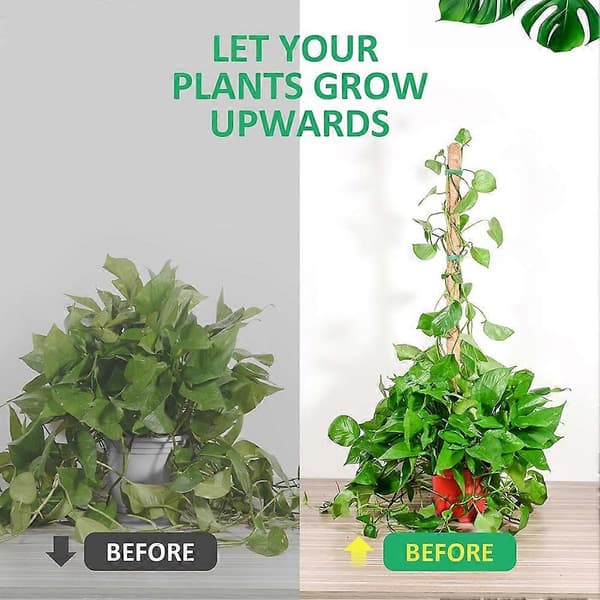 Moss Pole Monstera Växtstöd, Böjbara Växtpinnar för Inomhusväxter, Växtpinnar för Klätterväxter 2-pack