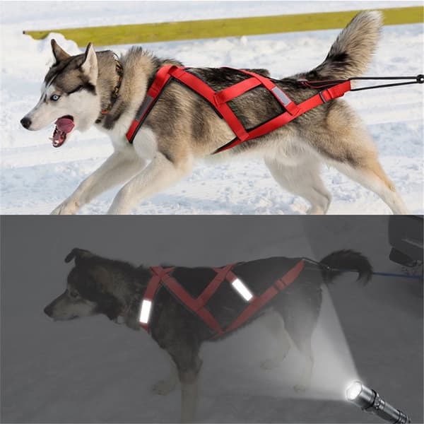 Hundesele (XL, rød) Ryghundesele til slæde, kæledyrsslæde