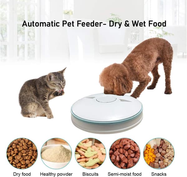 Automatisk foderautomat til katte, hunde, kaniner, smådyr, 6 måltider