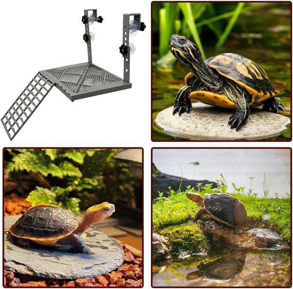 Flydende Skildpaddebro med Klips og Forhøjet Solplatform med Skridsikker Rampe til Akvarier