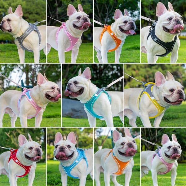 Small Dog Harness and Leash Set, Step-in Breathable Pet Harness