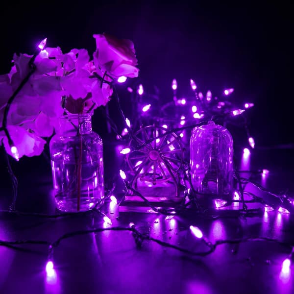Outdoor Halloween String Lights, 33ft 100 LED Waterproof String