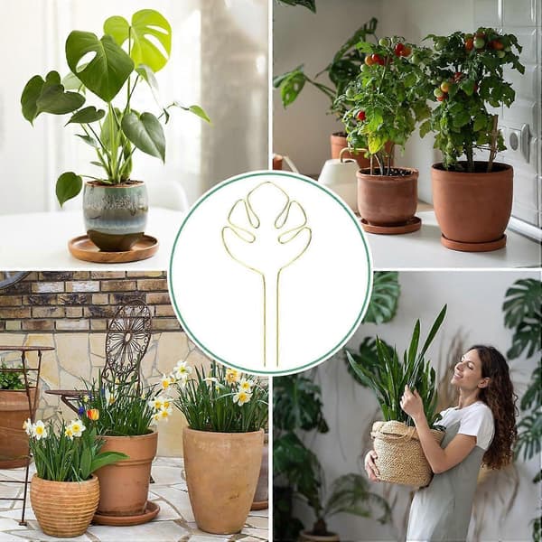 2 kpl Monstera-kasvituki, kiipeilykasvituki, monitoiminen varsituki