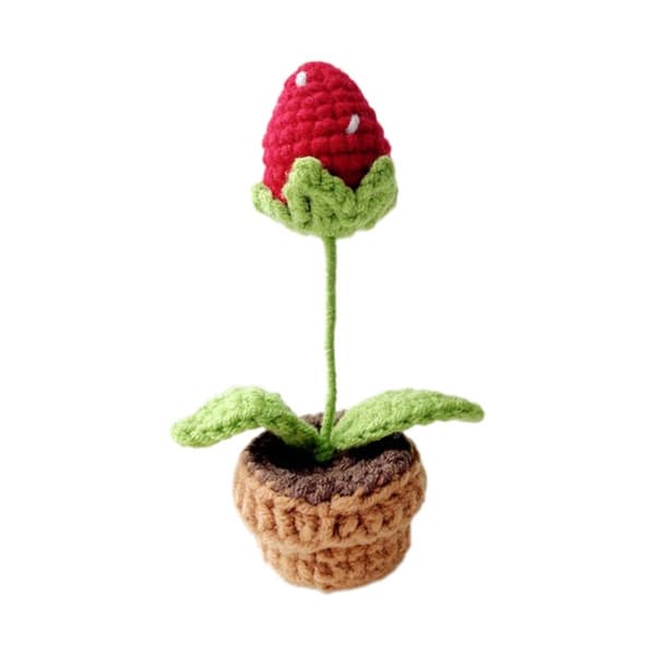 Hand-knitted Flowers in Crocheted Pot