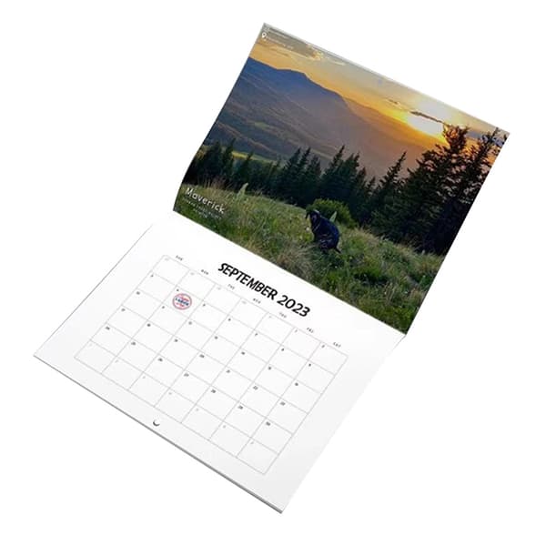2023 Kalender Hund Bæsjer Veggkalender Hunder Kalender