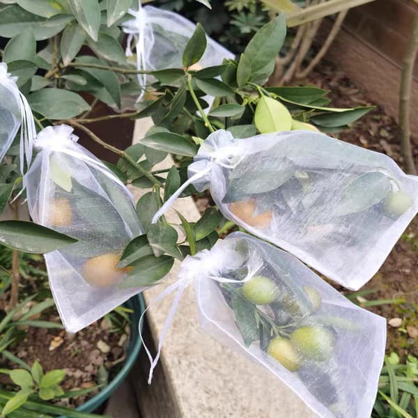 100 Pieces Fruit Bags, Protective Mesh Bags for Fruit Trees, Reusable White Fruit Net Bag with Drawstring Against Insects