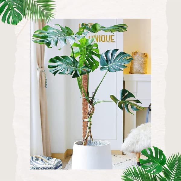 Plant support / support pole, Bendable Moss Pole 70-100cm - Climbing Support 1/2-Pack, for indoor plants, ivy and monstera 100cm-2 pcs 100cm-2 pcs 100cm-2 st