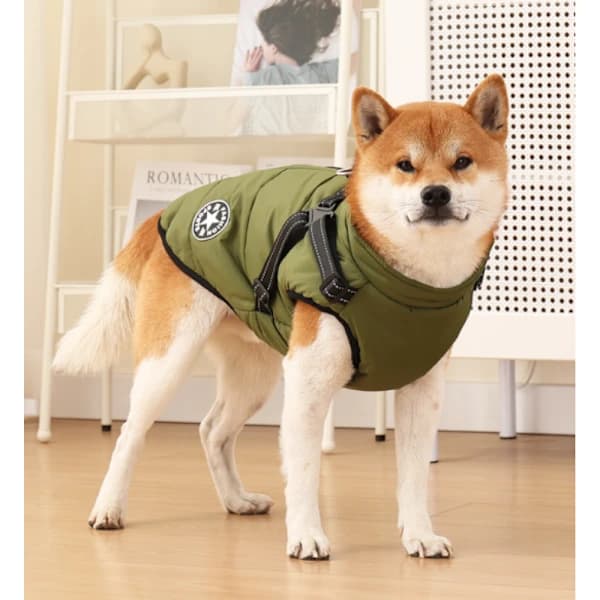 Reflective Dog Coat with Harness, Windproof & Waterproof Design, Adjustable Shoulder Straps & D-Ring, Alloy Fabric & Zipper, Ideal f...