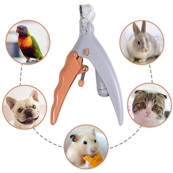 LED Pet Nail Clippers with Lights, Cat Dog Cleaning Scissors, Beauty and Luminous Nail Clippers