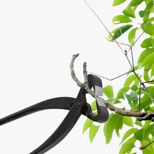 Professional Garden Bonsai Pruner, 210mm, Sharp Blade for Stems & Branches