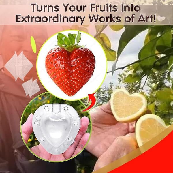 Magical Heart-Shaped Strawberry Molds for Fruit Growing Q White White